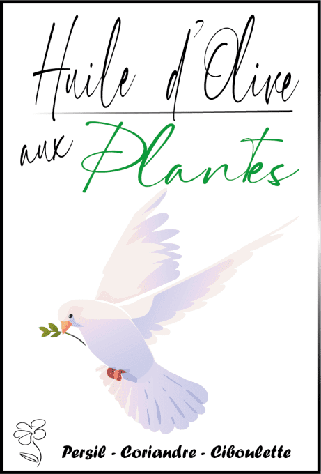 HUILE D'OLIVE AUX PLANTES #1