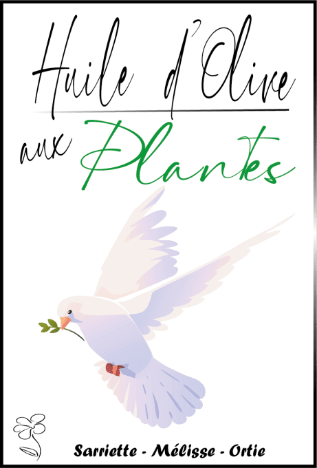 HUILE D'OLIVE AUX PLANTES #3