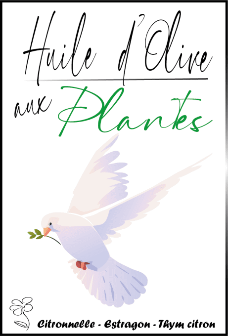 HUILE D'OLIVE AUX PLANTES #4