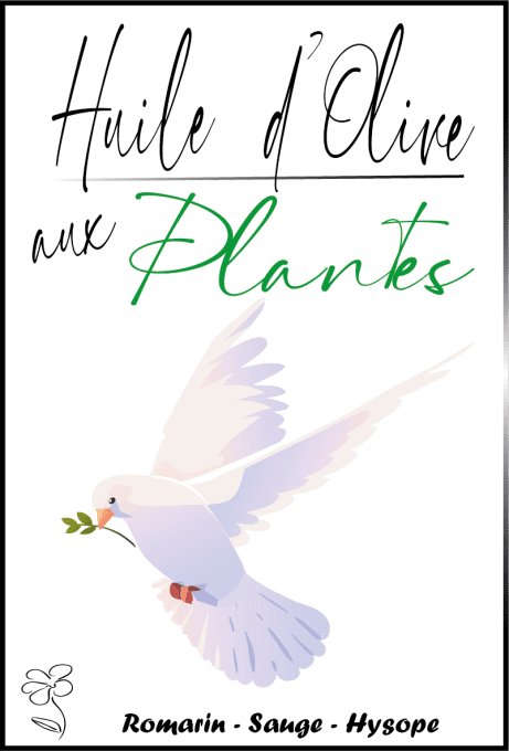 HUILE D'OLIVE AUX PLANTES #5