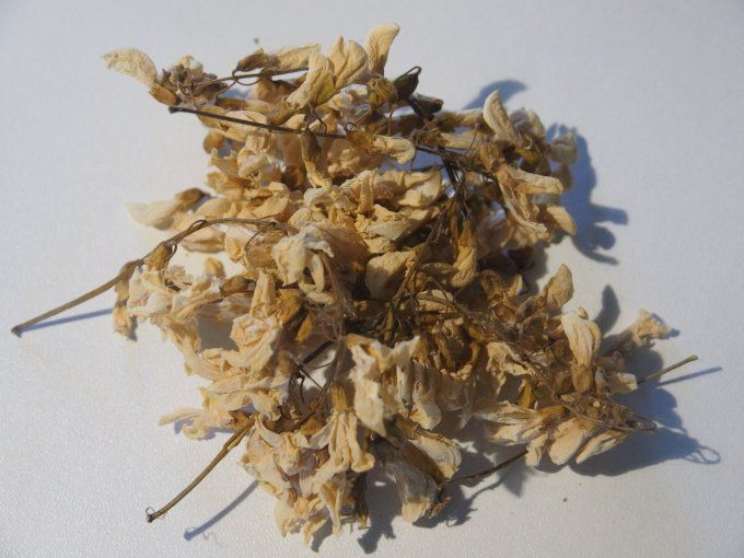 Sirop d'Acacia