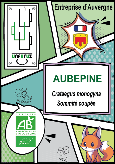 Aubepine