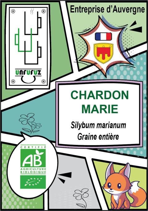 Chardon Marie graine