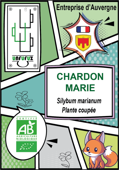 Chardon Marie plante