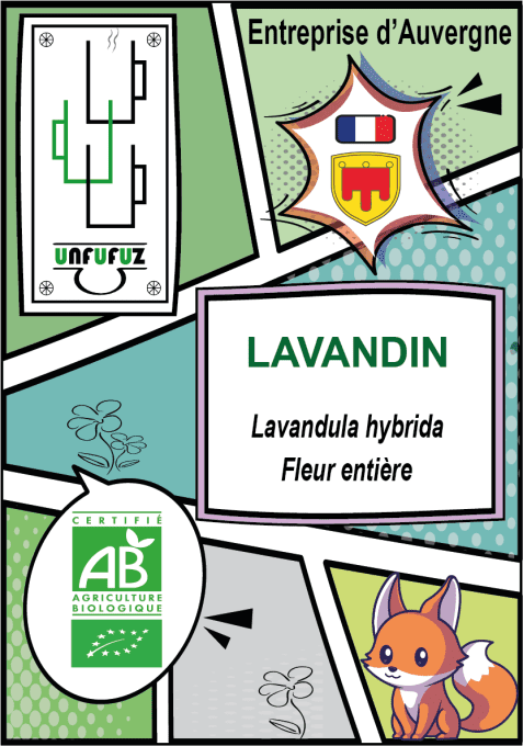 Lavandin