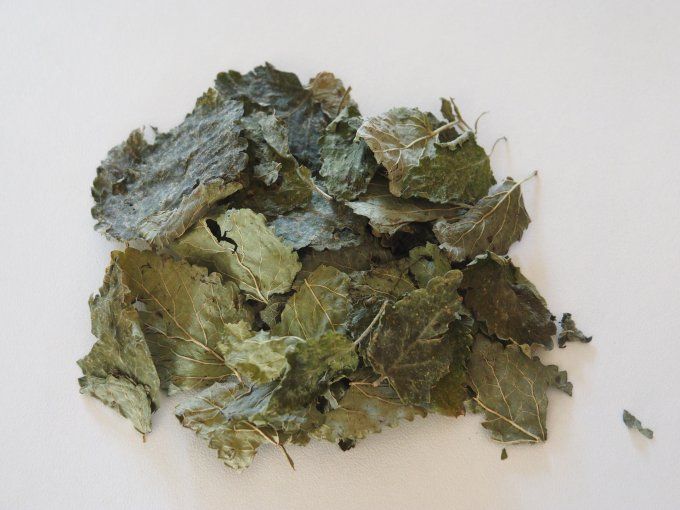 Sirop Melisse Citronnée
