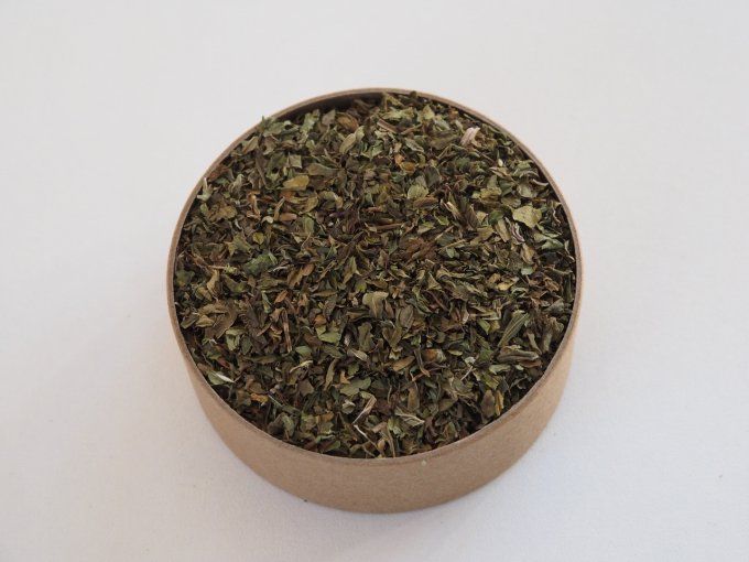 Menthe verte
