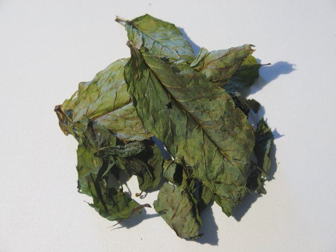 Sirop Menthe verte