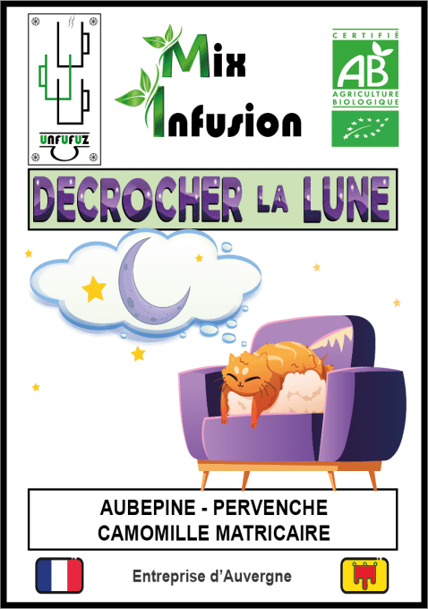 DECROCHER LA LUNE