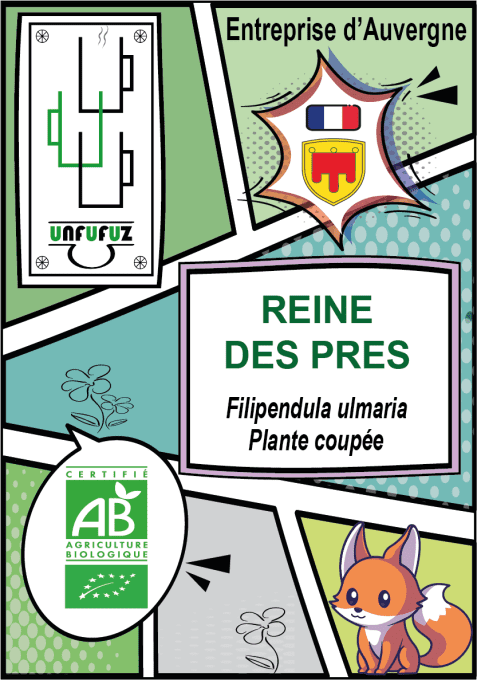 Reine des prés