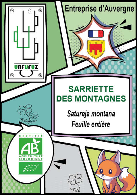 Sarriette des montagnes