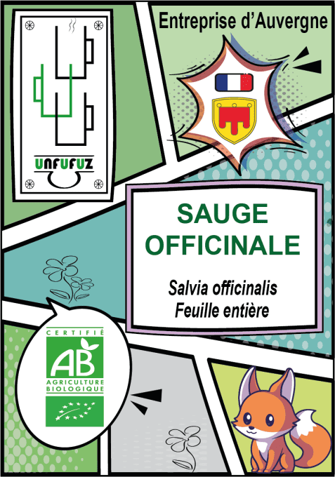 Sauge officinale