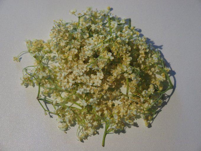 Sirop Sureau
