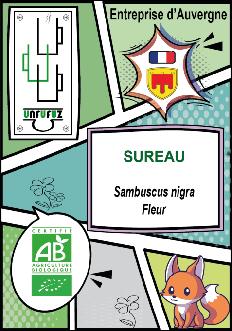 Sureau