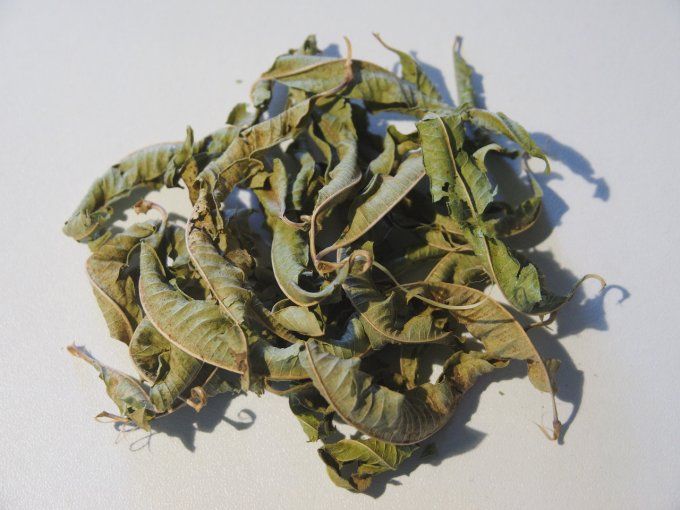Sirop Verveine