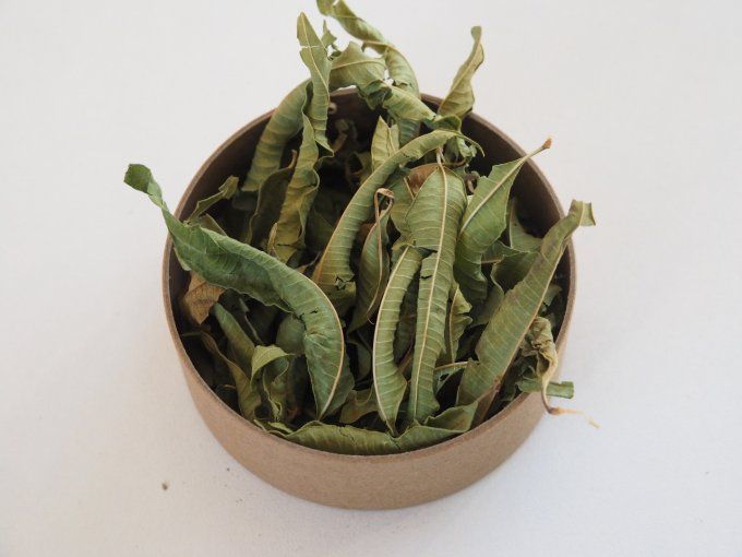 Verveine 